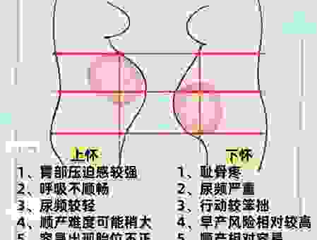 妊妇是什么意思的官方说法 孕妇和妊妇有什么区别
