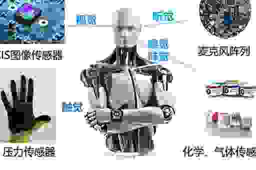 intelligent design是什么意思？科普一下这个科学概念