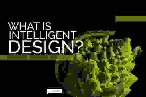 intelligent design是什么意思？科普一下这个科学概念