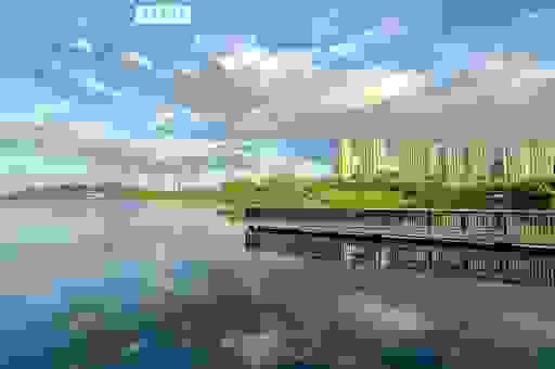 池塘亮底打一个字后水质变化 效果立竿见影吗