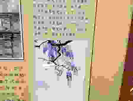 探究桂林杏苑的真正意思 了解背后的文化故事