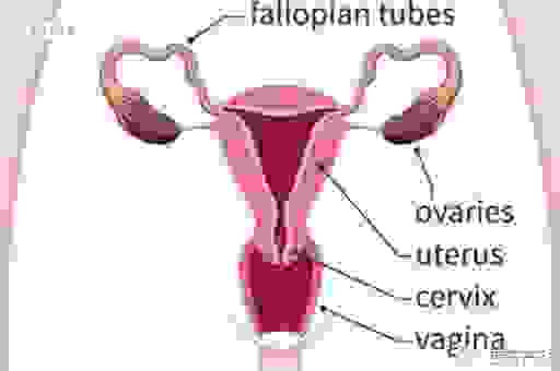 还在为“膈怎么读”纠结吗?答案就在这里超简单