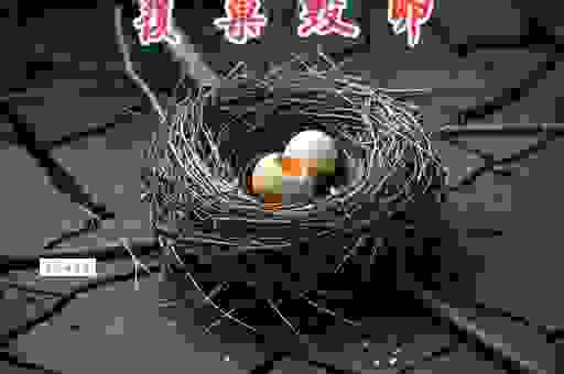 想知道成语覆巢毁卵的意思吗？一分钟为你讲清楚