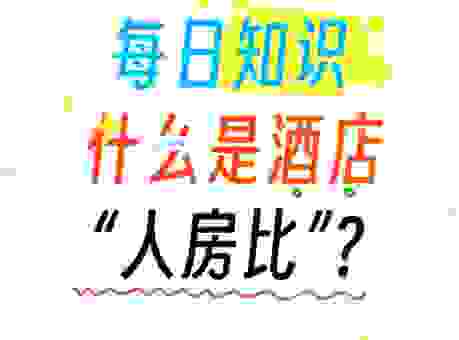 hostel和酒店哪个更适合你？不同旅行需求的对比分析！