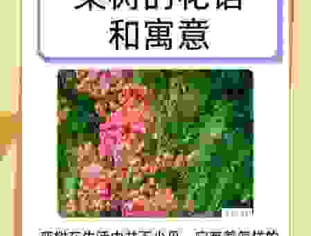 枯树开花代表什么意思?老一辈人常说的吉祥征兆!