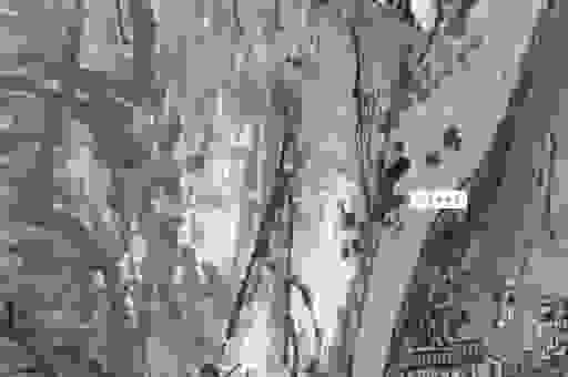 想要知道咫尺万里是什么意思啊？速看资深人士的解读！