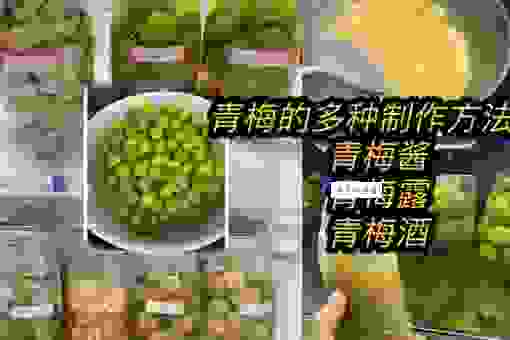 青梅露坏了能不能喝?看懂这几点避免身体不适