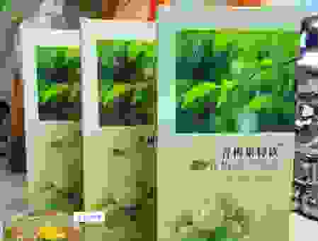 青梅露坏了能不能喝?看懂这几点避免身体不适