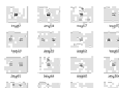 globetrotter是啥意思？全球旅行者必备的知识点！