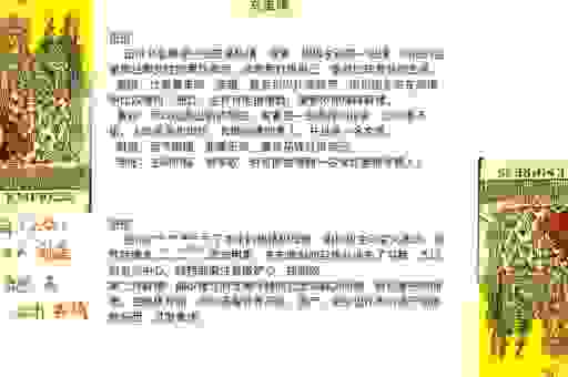 历史上的傧相是什么意思？揭秘这个关键人物的职责！
