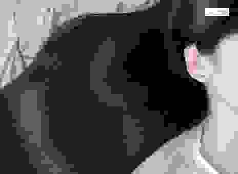 搜索黑发是什么意思?原来关于头发的学问这么深