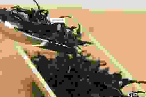 想知道松烟是什么意思吗？其实它就是这么简单