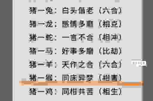 一龙一猪的意思是什么？别再用错这个网络热词了