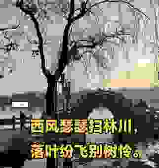 西风落叶的意思是什么?完整解释给你听懂