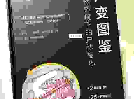 什么是真正的遗骸？深入解读遗骸的定义和用法