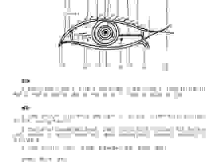 关于眉来眼去是什么意思的常见疑问解答！