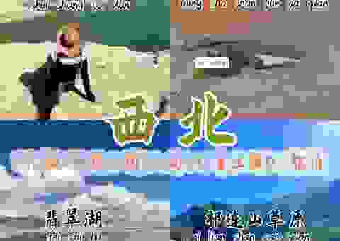 轻松解开重点支援大西北打一字，简单方法让你秒懂！