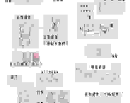 brine的正确使用方法是什么？新手也能轻松学会