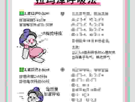 brine的正确使用方法是什么？新手也能轻松学会