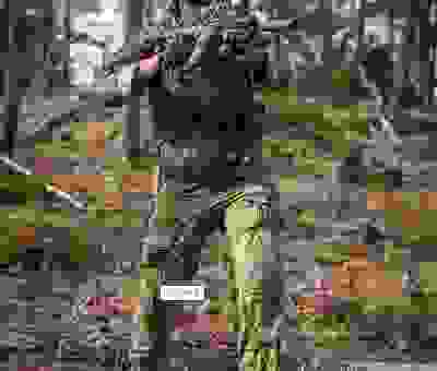 军事爱好者必看！风兵草甲是什么意思帮你秒懂