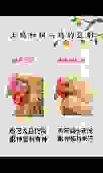 仔鸡什么意思？养殖新手必须知道的行话！