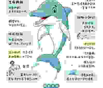 深度解读信及豚鱼是什么意思？网友都在讨论的原因