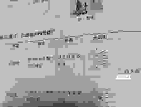 为什么物体会发光？深入浅出解析发光的意思