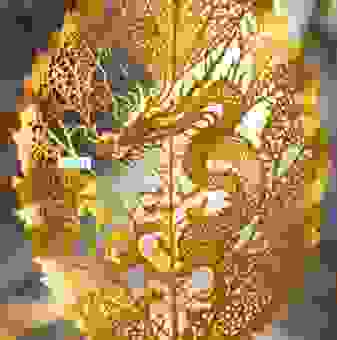 一叶知秋这个成语到底指向哪个生肖你知道吗？