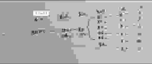 尘根到底是什么意思？老司机手把手教你理解这个概念