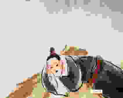 青丝白马的意思是什么？这个成语背后有什么故事