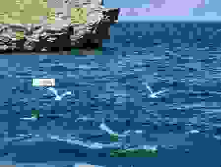 探秘地球最深淡水湖：贝加尔湖旅游必备指南！