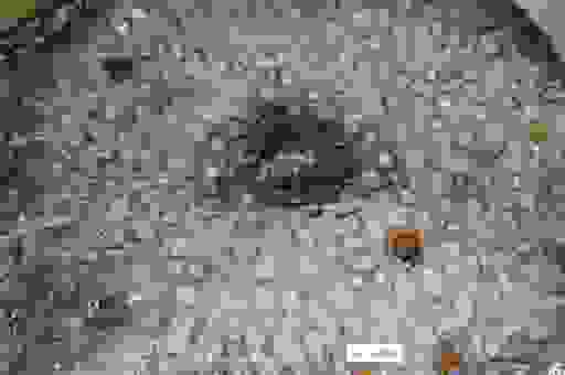 蜂出泉流的意思到底是什么？记住这个解释就不迷糊了！