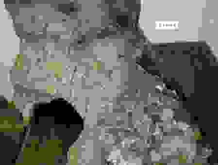 蜂出泉流的意思到底是什么？记住这个解释就不迷糊了！