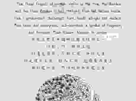 问问老人出梅是什么意思？传统节气与气候变化关系！