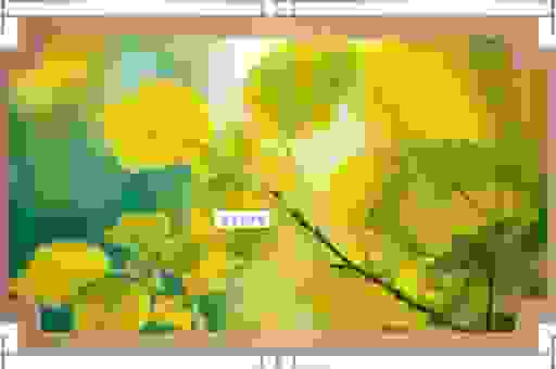 缃叶的意思究竟是什么？口语化解释帮你快速学会