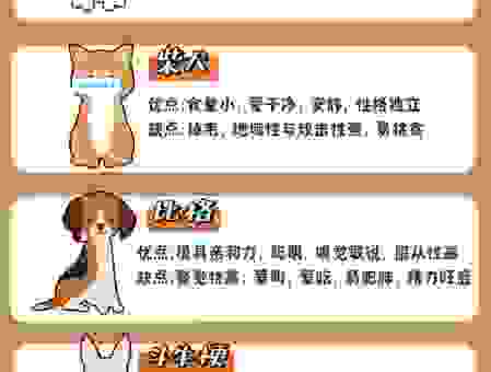 纯种犬breed的遗传病风险高不高？如何做好预防工作？