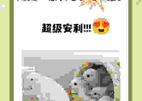 想知道呼卢喝雉的意思吗？看完你就明白怎么用了