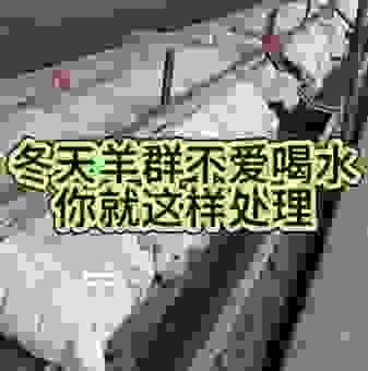 一只小羊在喝水打一字你知道答案吗？轻松搞定