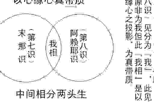 关于七音是什么意思的全面解析，让你不再困惑
