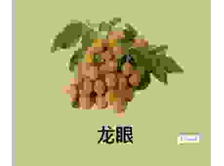 龙媒指的是什么意思呢？普通人也能看懂的解释！