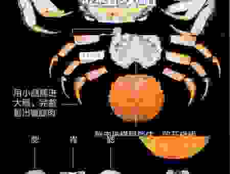 河蟹是什么意思的完整解析，看完你就明白了