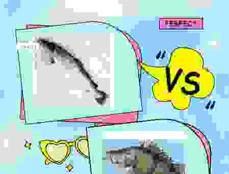 轻松搞懂牛蹄中鱼的意思！记住这几点才算明白