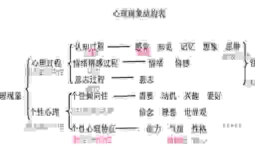 揭秘partiality背后的心理学原理和应对方法