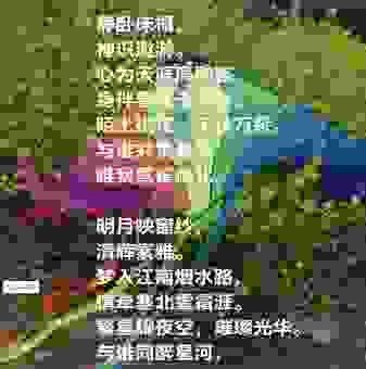 听说十里桃花万杨柳打一城市 藏着一个浪漫的秘密