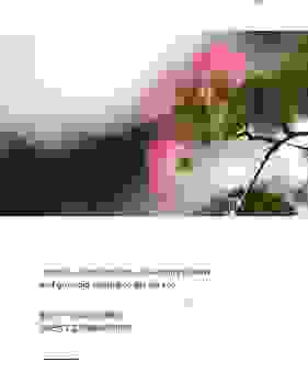 搞不懂八花九裂是什么意思？看完你就明白了真相