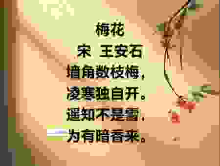 窗前乍见晚梅开打一字，简单谜题答案竟然是它