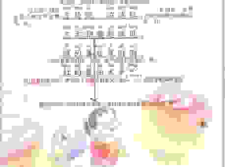 春末夏初打一个字最妙的答案 保证让你眼前一亮！
