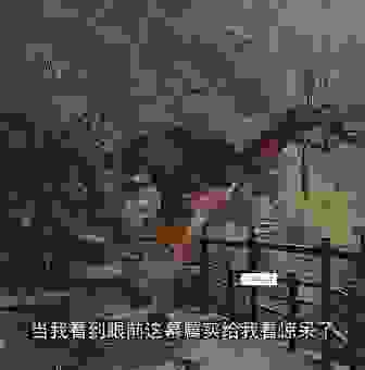 母猪上树打一生肖，这个生肖的特点是啥？