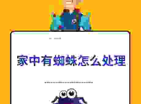 小蜘蛛太多怎么办？这几个方法让你轻松解决！