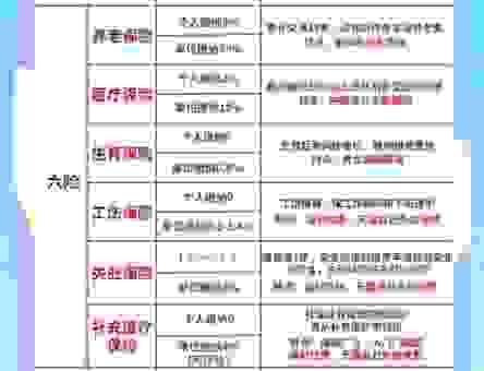 养老保险断交有什么影响？听听专家怎么说！